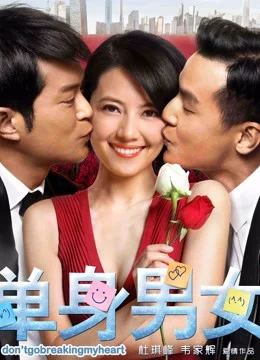 Đơn Thân Nam Nữ 1 - Don't Go Breaking My Heart (2011)